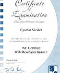 WE Developer Diplom